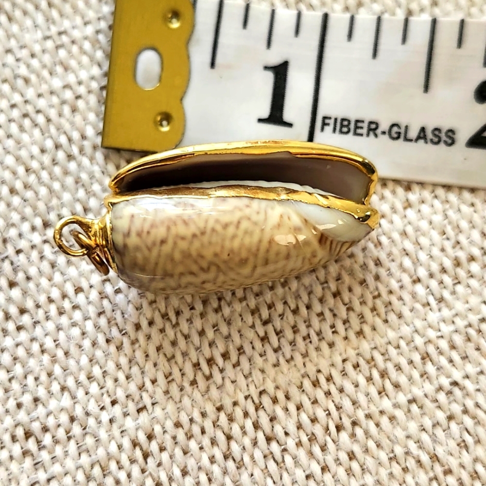 2/15$ Olive Shell Rimmed With Pure Gold Pendant/accessory
